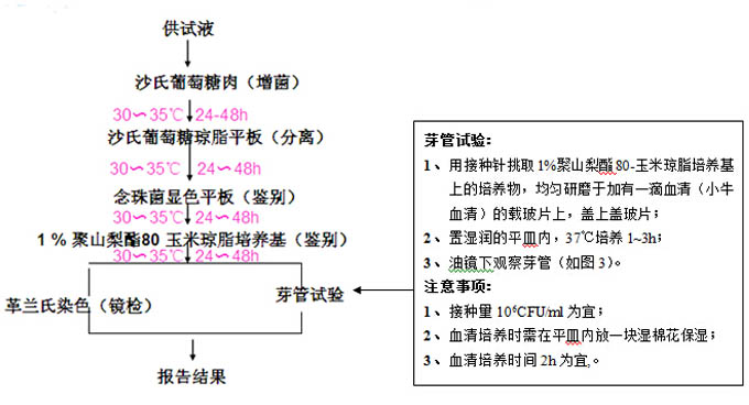 白色念珠菌檢測流程