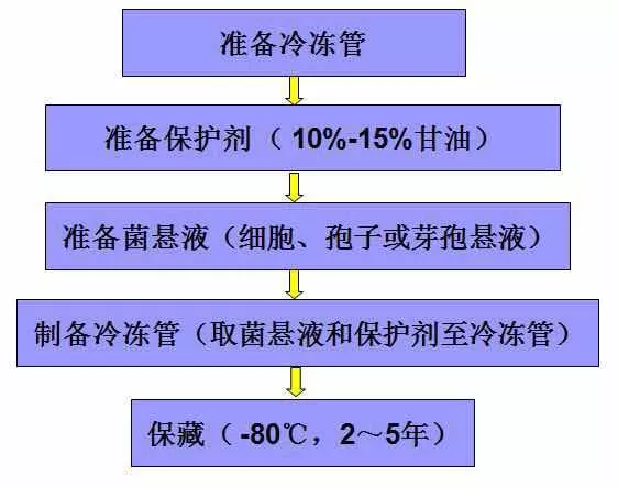 微生物保存