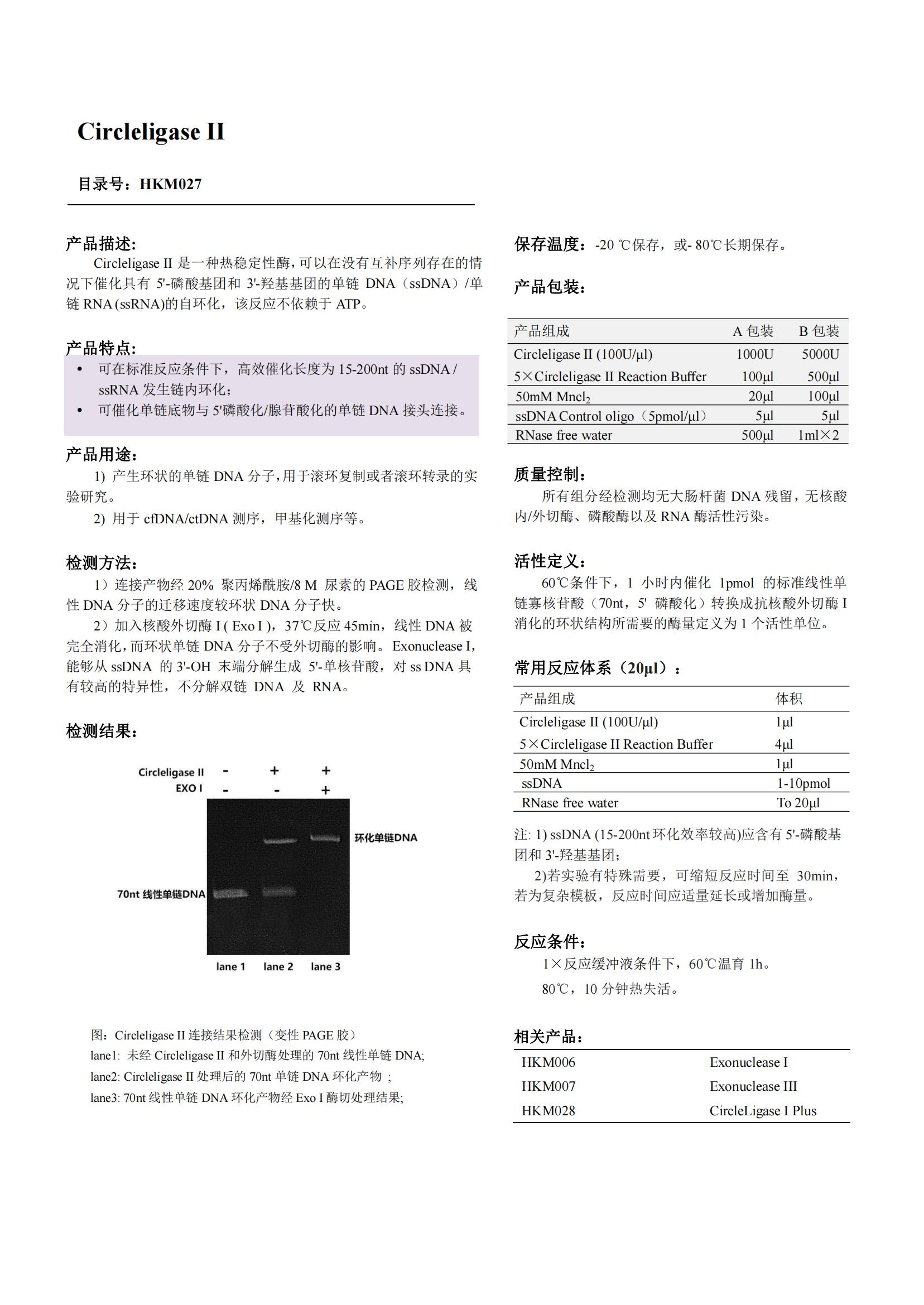 Circleligase Ⅱ（環(huán)狀連接酶）產(chǎn)品說(shuō)明書