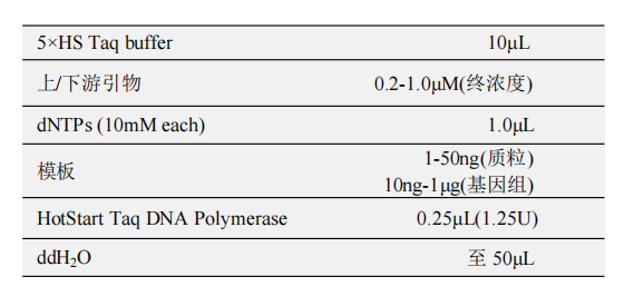 HotStart Taq DNA Polymerase(B) 常用反應體系（50μL）