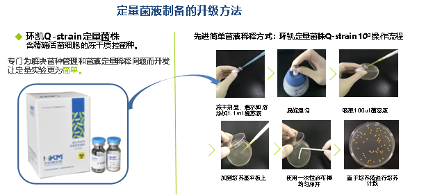 Q-Strain定量菌株