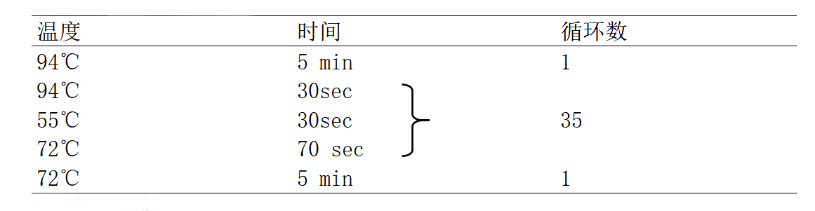 肉毒梭菌A/B型毒素基因PCR檢測(cè)試劑盒PCR反應(yīng)程序