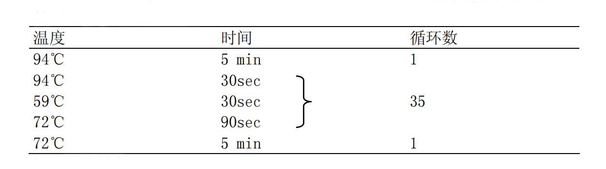 EPEC-STEC-EHEC多重PCR檢測試劑盒PCR反應程序