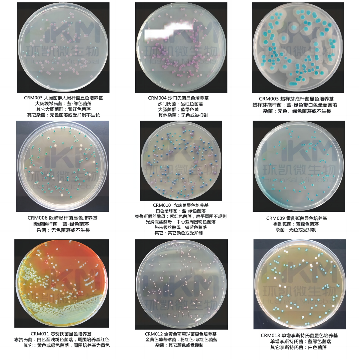 環(huán)凱顯色培養(yǎng)基系列產品詳細介紹