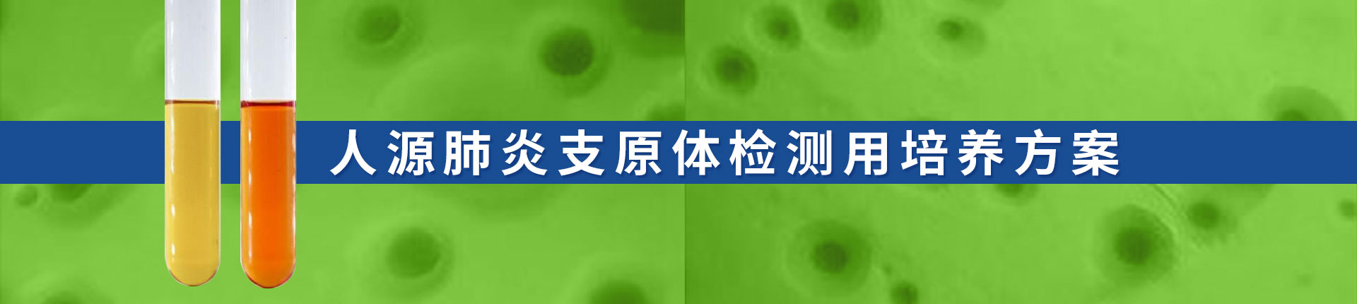 人源肺炎支原體檢測(cè)用培養(yǎng)方案