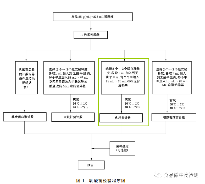 乳酸菌檢驗程序