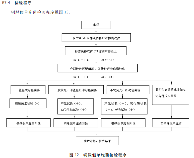 銅綠假單胞菌檢驗程序