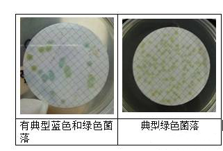 綠膿菌素確證性試驗