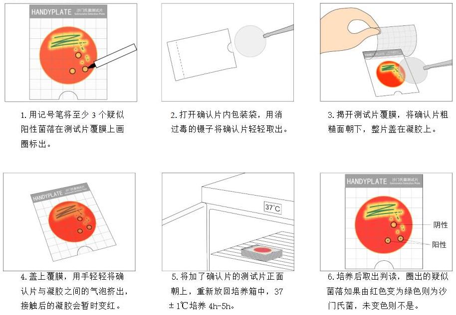 Handy plate®沙門氏菌確認(rèn)反應(yīng)片操作步驟