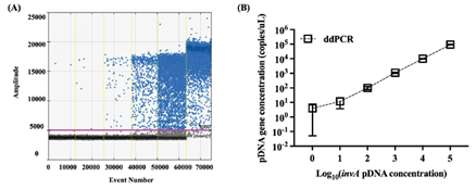 圖1 ddPCR對10倍稀釋的pDNA中S.Typhimurium的invA基因進行定量