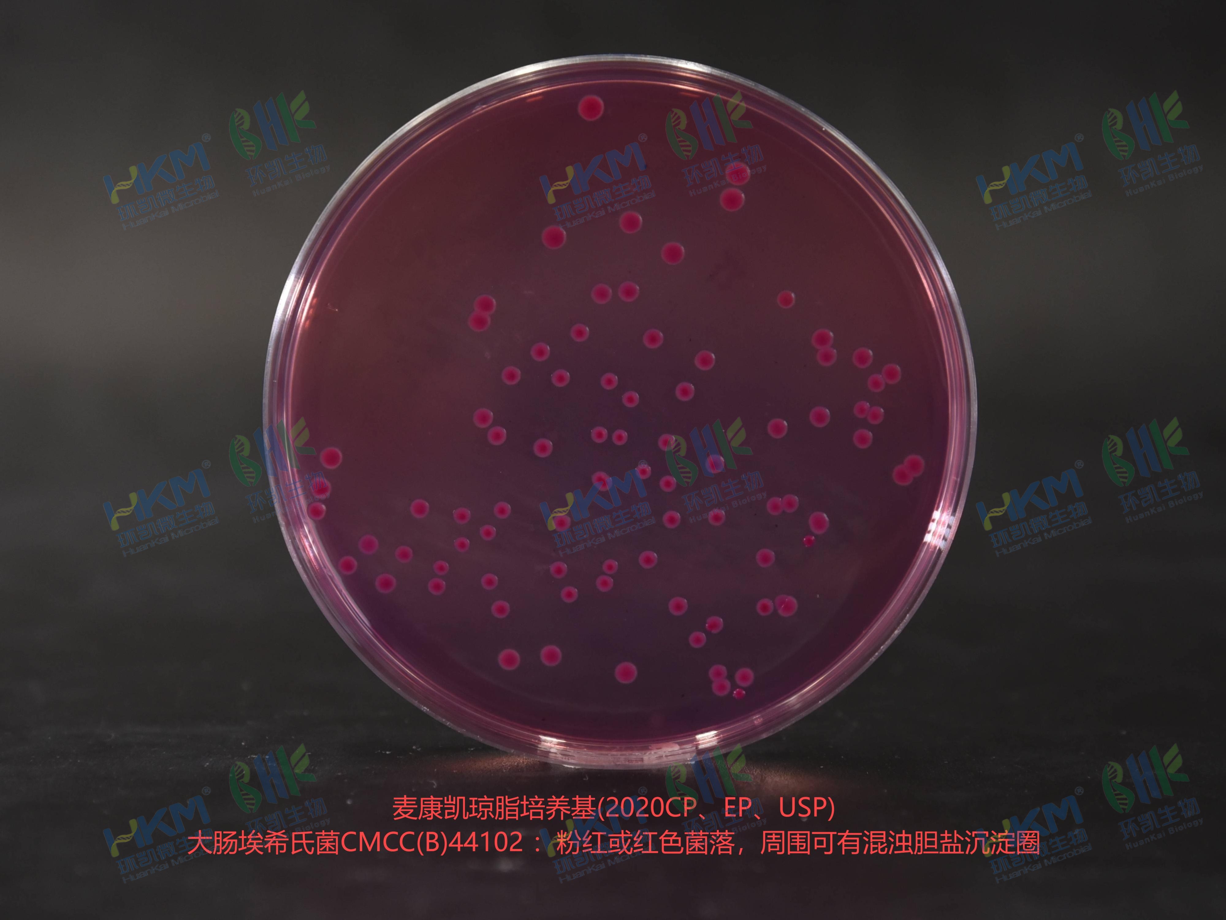 麥康凱瓊脂培養(yǎng)基 乙型副傷寒沙門(mén)氏菌CMCC(B)50094